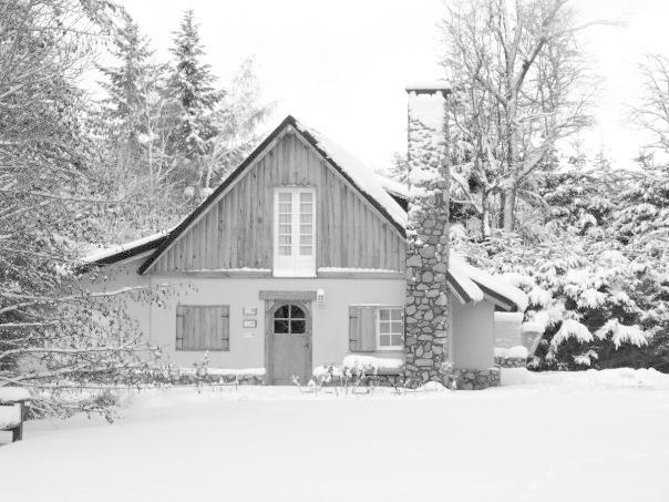 Hosteria El Establo Вилья-ла-Ангостура Экстерьер фото